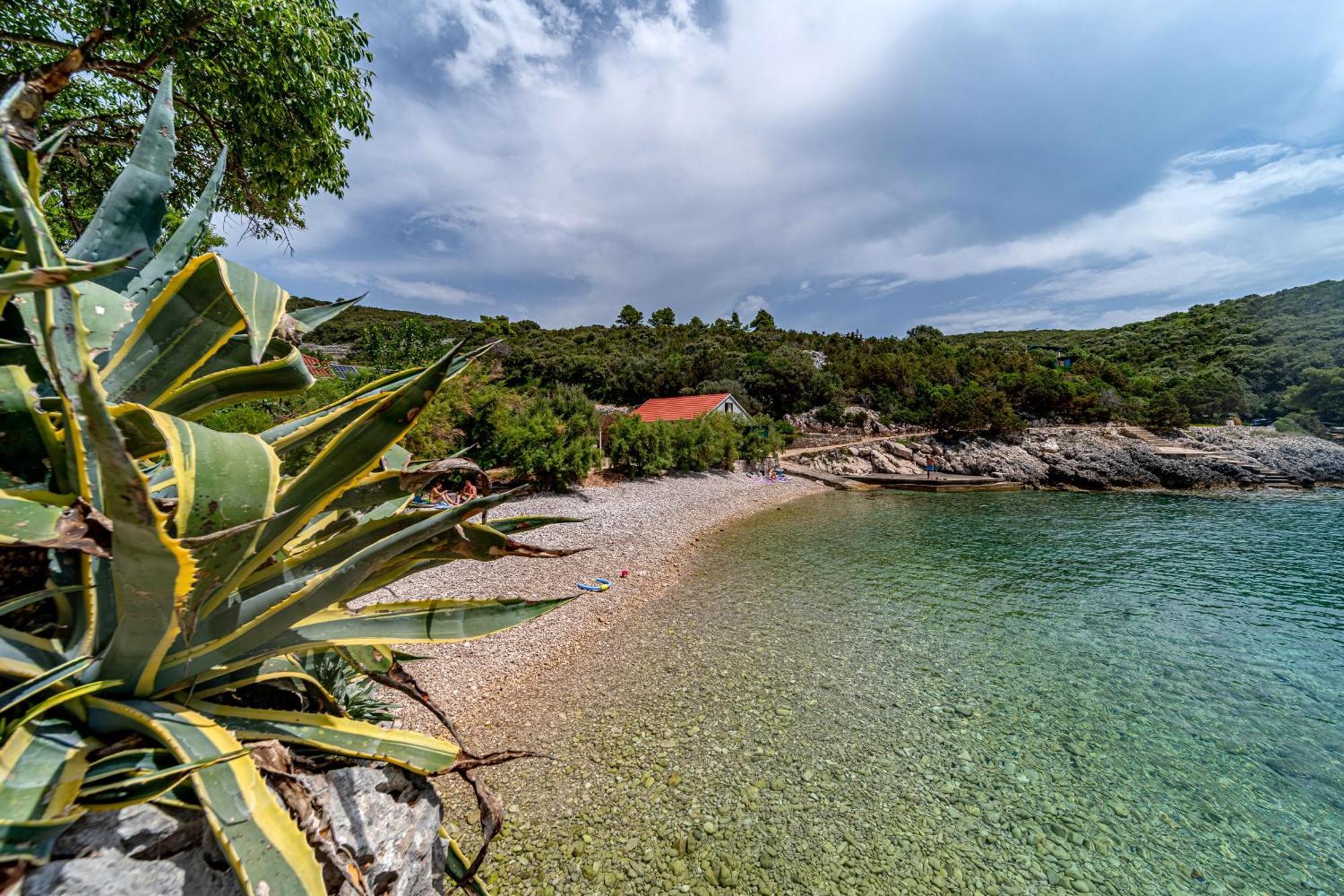 Seaside House For Families With Children Cove Rasohatica, Korcula - 4386 Lumbarda Eksteriør billede